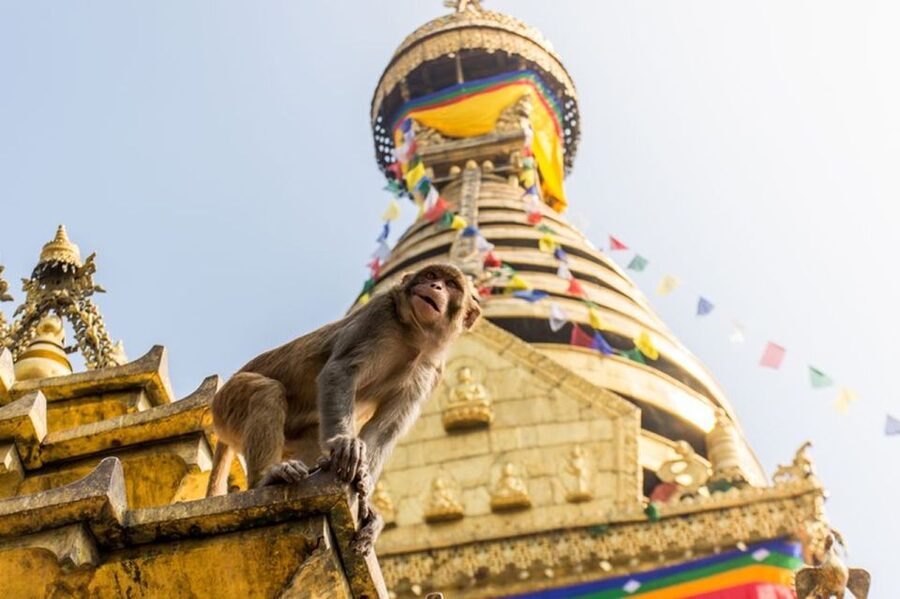 Spiritual Nepal: Expert insight into Multifaith Journey - How good is the guide service?