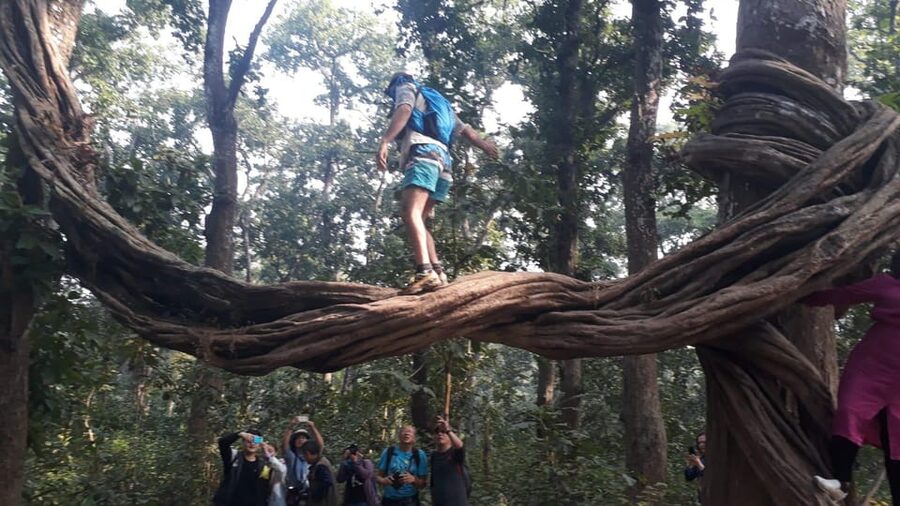 Thrills and Tranquility: Jeep Safari and Canoeing in Chitwan - Is $94 a fair price?