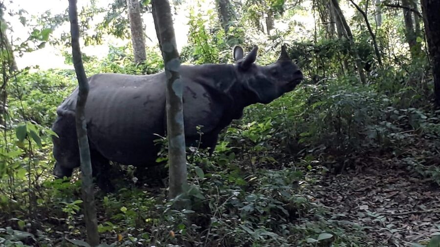 Thrills and Tranquility: Jeep Safari and Canoeing in Chitwan - Best months and weather planning
