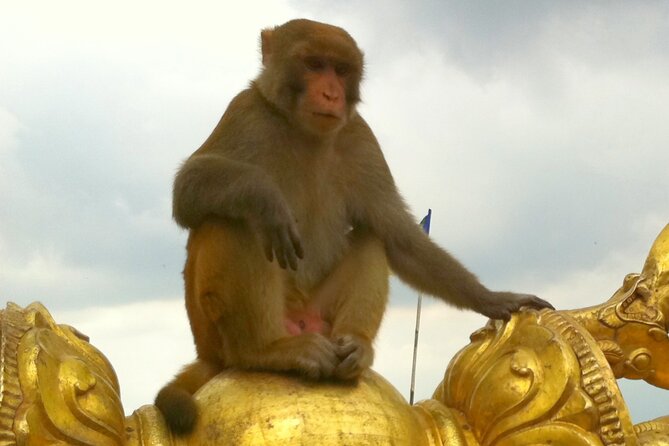 TOP 4 UNESCO World Heritage Sites Tour - The Guides Make the Difference