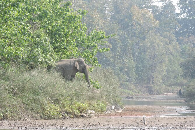 Tree House stay in Bardia National Park || 1 Night 2 Days - Arriving by River Walk or Village Tour