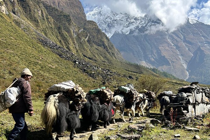 Tsum Valley Trekking - Day 5: the turn into Tsum Valley