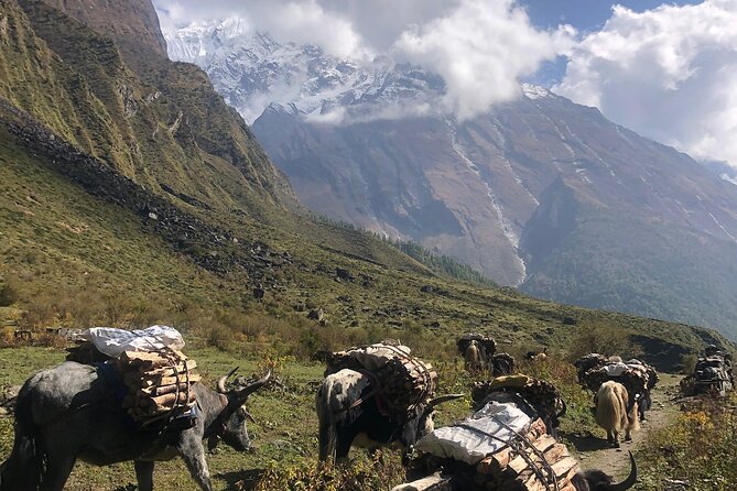 Tsum Valley Trekking - Day 7: Milarepa Cave and the final village